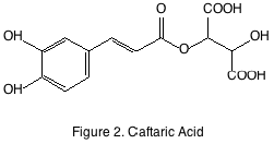 figure 2 caftaric acid