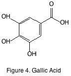 figure 4 gallic acid