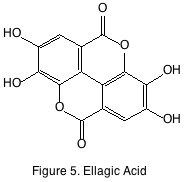 figure 5 ellagic acid