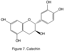 figure 7 catechin