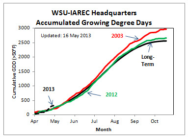 Figure 1- Growing Degree Day accumulation (base 50ºF) for 2013, 2012, 2003 (hot year) and the long-term average. Charts for representative AWN stations at each AVA are updated at: http://wine.wsu.edu/research-extension/weather/growing-degree-days/ . Make your own GDD chart for the AgWeatherNet station nearest you at: http://weather.wsu.edu 