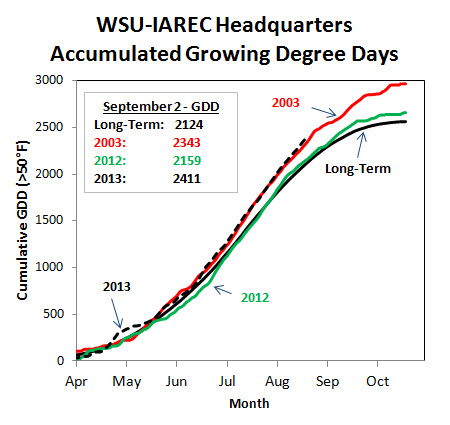 Figure 2- Heat accumulation in 2013 is mimicking recent warm vintages of 2003, and 1994 (not shown). Forecast warm days and cool nights will provide ideal ripening conditions in the Valley. Site-specific GDD information can be downloaded at: http://weather.wsu.edu