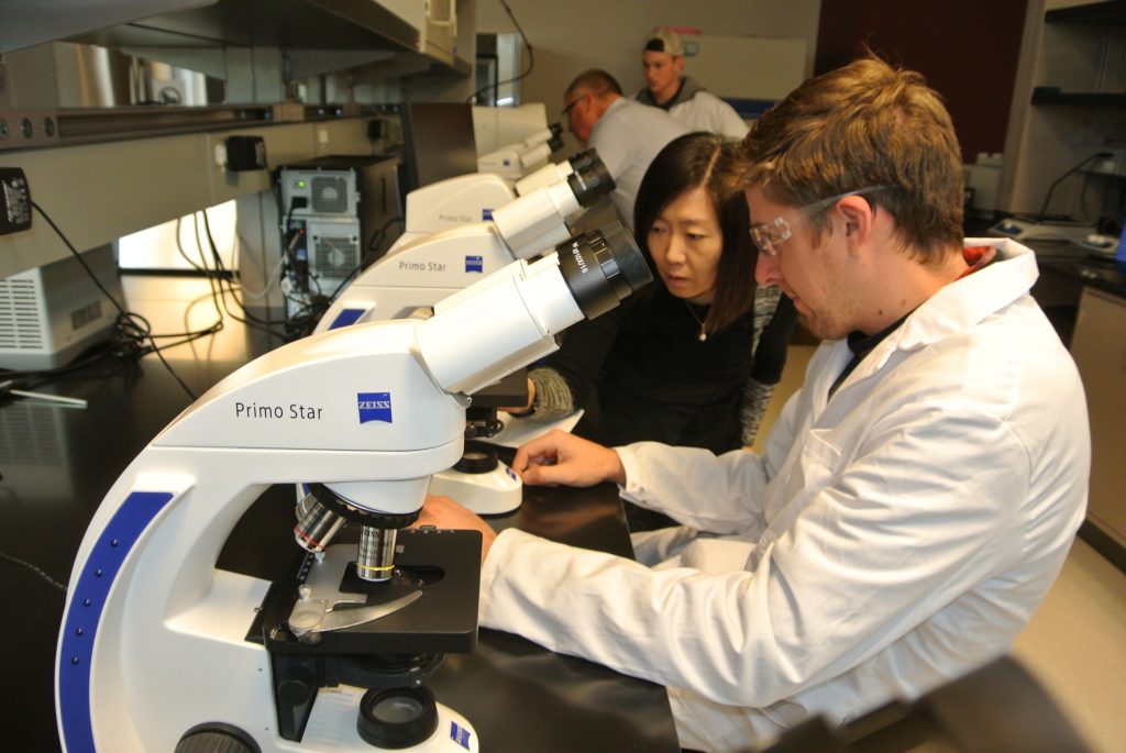 Four researchers in the lab with microscopes on the table