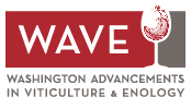WAVE-Washington Advancements in Viticulture & Enology Logo